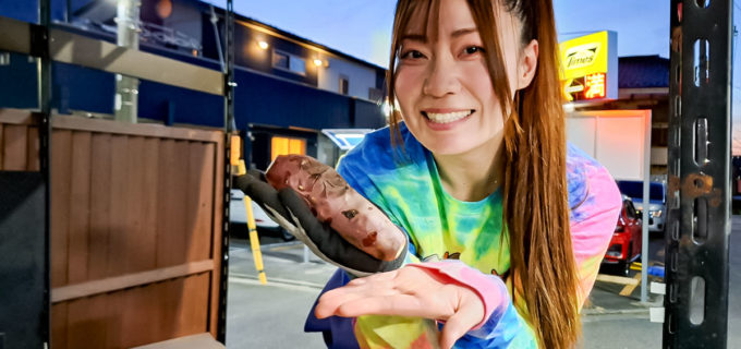 引退から1年の清水ひかり“焼きいも屋さん”への華麗なる転身！