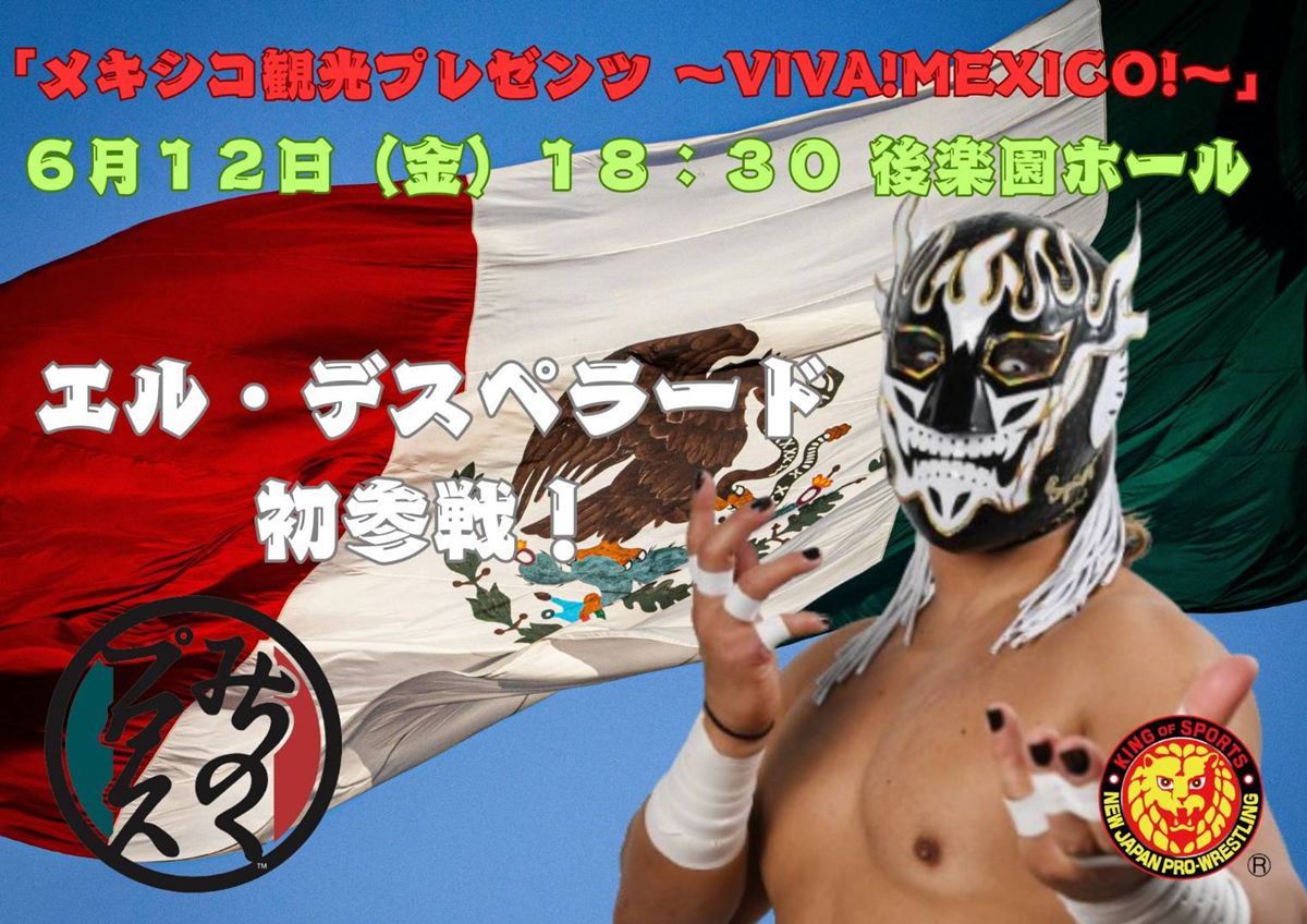 エル・デスペラード興行　DVD 未開封 新日本プロレスリング エル・デスペラード 自主興行 DVD DESPE