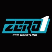 【ZERO1】6.6板橋大会の全カード決定！ 田中＆ハヤブサ組が2AW勢を迎撃、クリスvs橋本大地など全5試合！