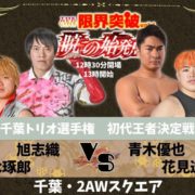 スターダム】白川未奈が『Forbidden Door』にてトニー・ストームのAEW