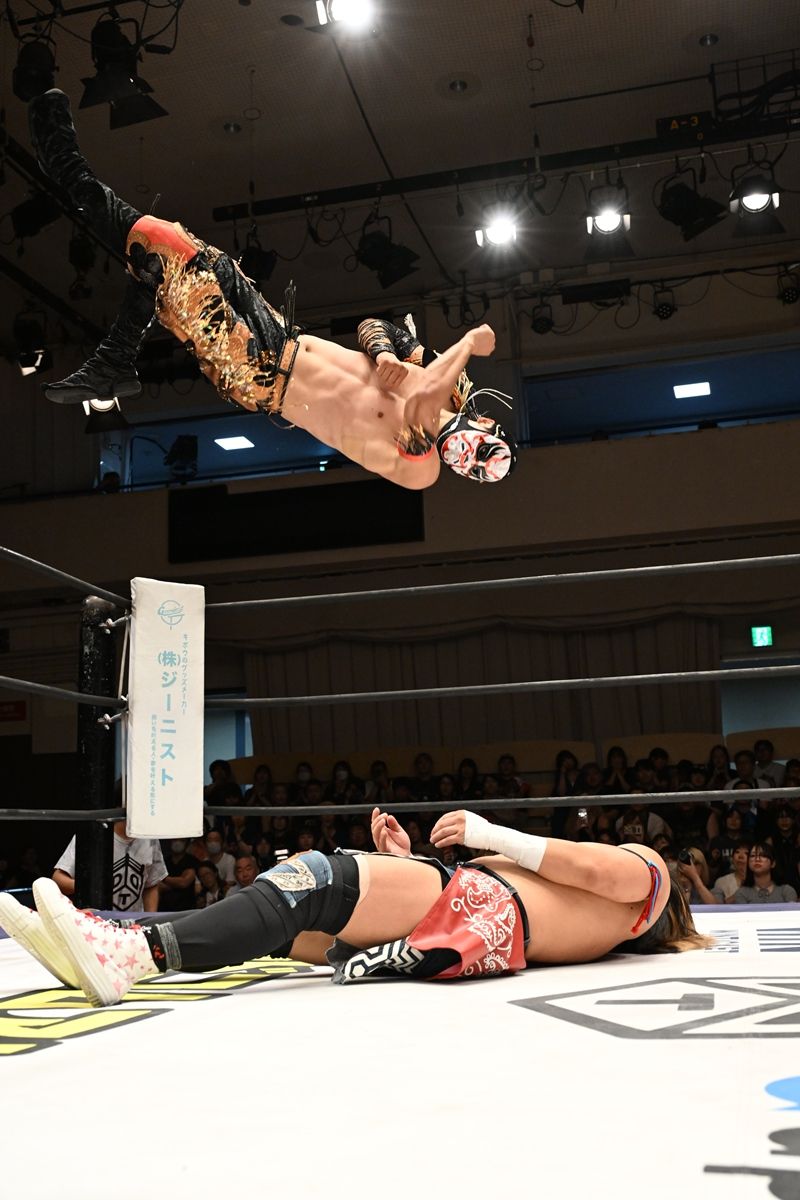 ddt プロレス 技