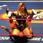 N*O様 北尾光司　プロレス　Tシャツ 90s ビンテージ　シングルステッチ　横 編集長コラム】「悼む 北尾光司さん」 | プロレスTODAY